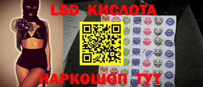 шишки Кингисепп