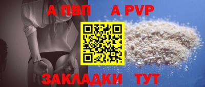 шишки Кингисепп