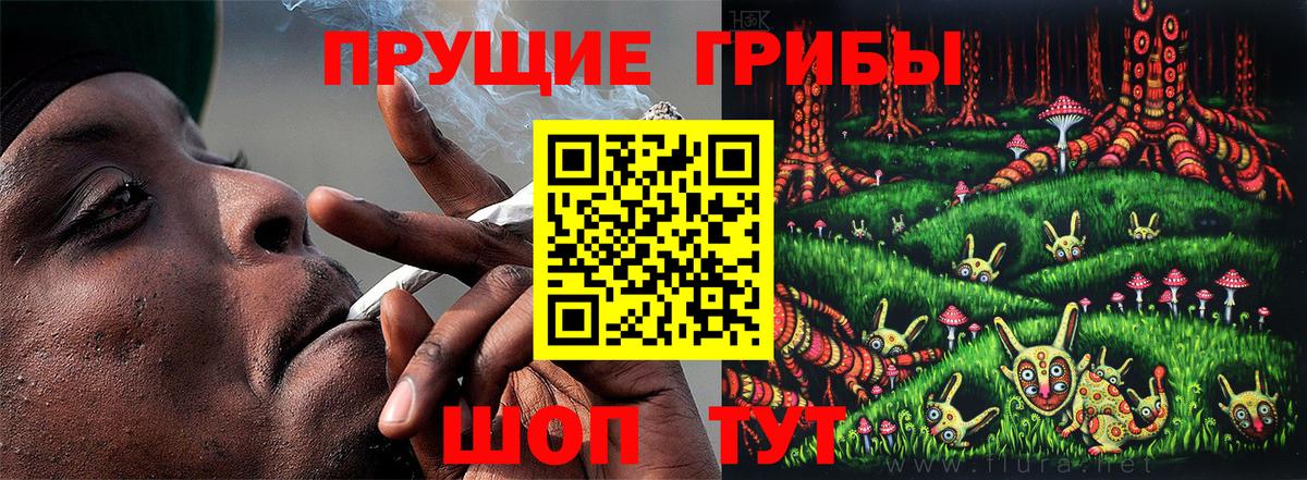 Псилоцибиновые грибы мицелий  Вход с VPN  где продают   Урус-Мартан 